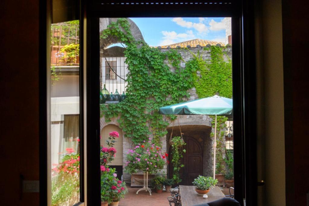 Mimma Bed&Flavour Bed and Breakfast Νάρνη Εξωτερικό φωτογραφία