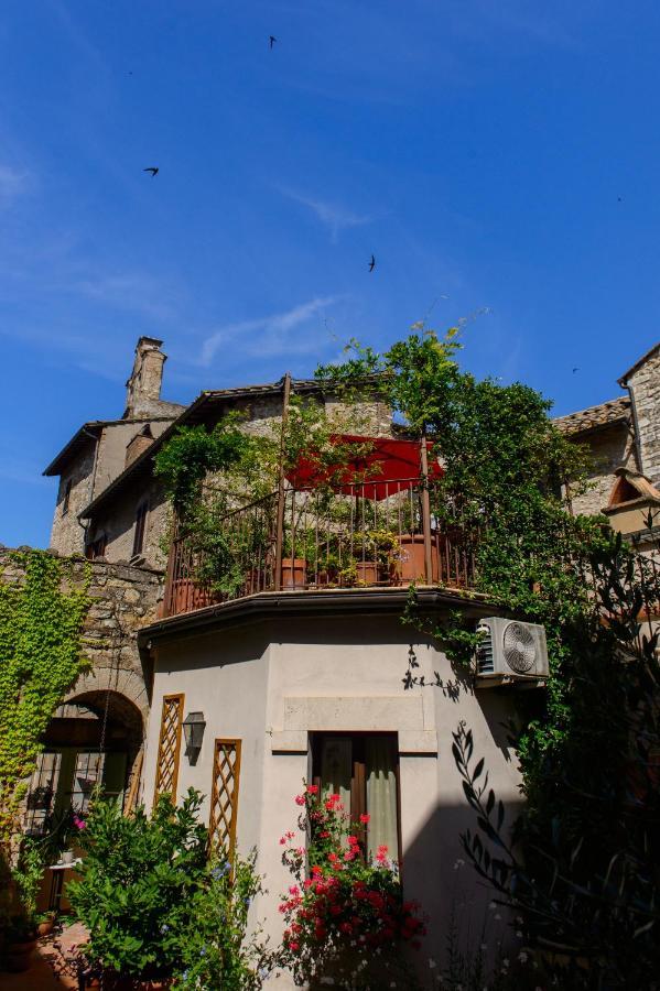 Mimma Bed&Flavour Bed and Breakfast Νάρνη Εξωτερικό φωτογραφία