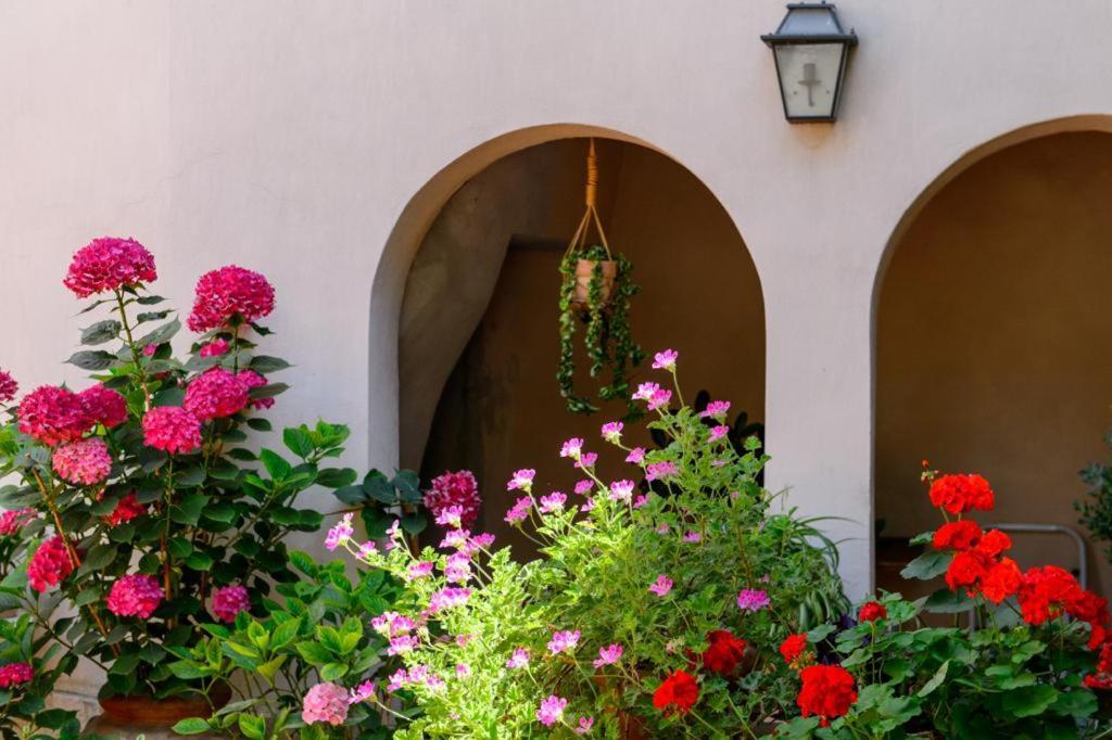 Mimma Bed&Flavour Bed and Breakfast Νάρνη Εξωτερικό φωτογραφία